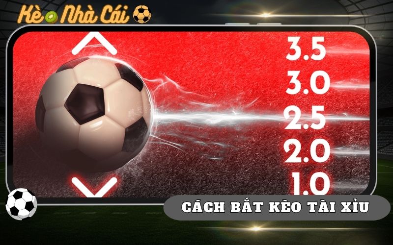Bí Quyết Bắt Kèo Tài Xỉu Hiệu Quả Từ Bet Thủ Cao Tay 1 Bí Quyết Bắt Kèo Tài Xỉu Hiệu Quả Từ Bet Thủ Cao Tay
