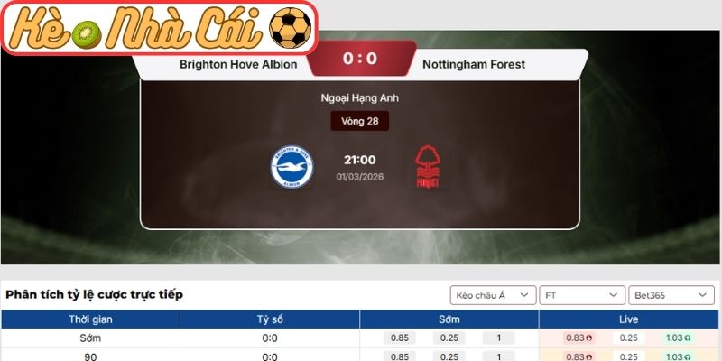 Soi kèo trận đấu Brighton Hove Albion vs Nottingham Forest (21:00 01-03, Ngoại hạng Anh) 3 Kèo châu Á trận Brighton Hove Albion vs Nottingham Forest (21:00 01-03)