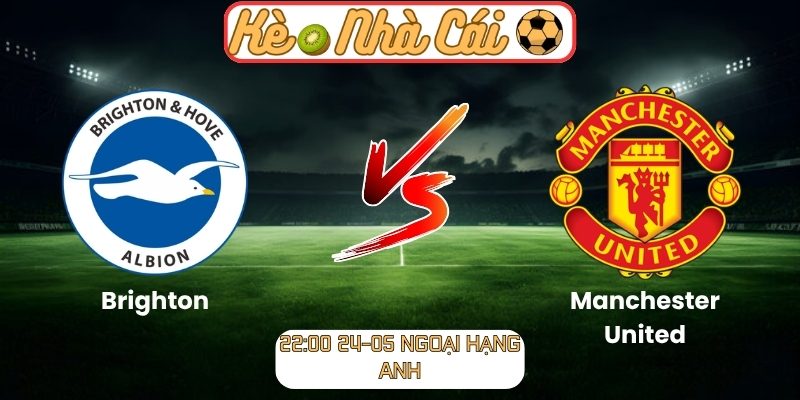 Brighton vs Manchester United